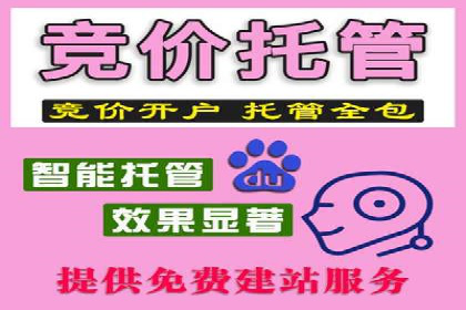 信息流广告代理成功案例分析